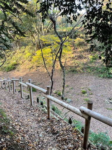 f:id:tmtmz:20211121231548j:image