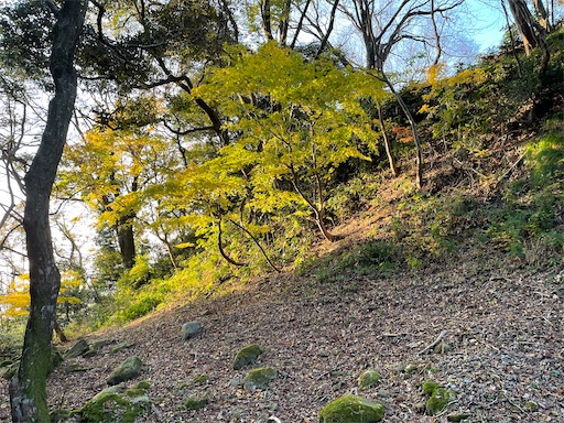 f:id:tmtmz:20211121231605j:image