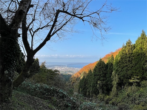 f:id:tmtmz:20211121231612j:image