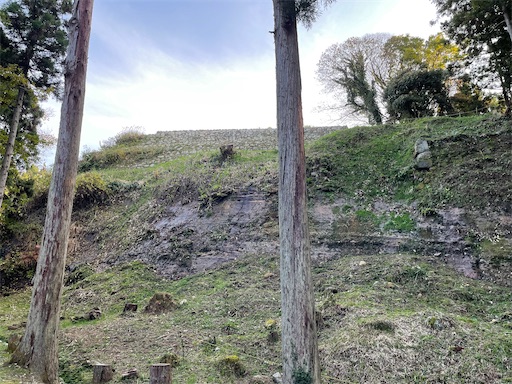 f:id:tmtmz:20211121231637j:image