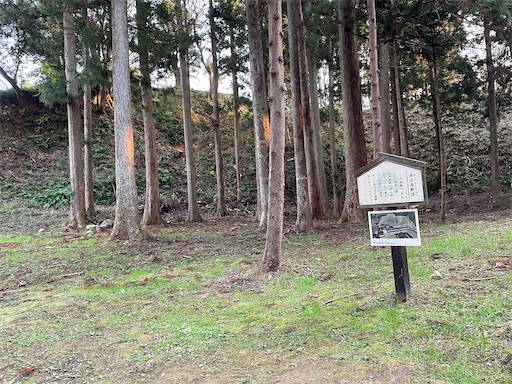 f:id:tmtmz:20211121231649j:image