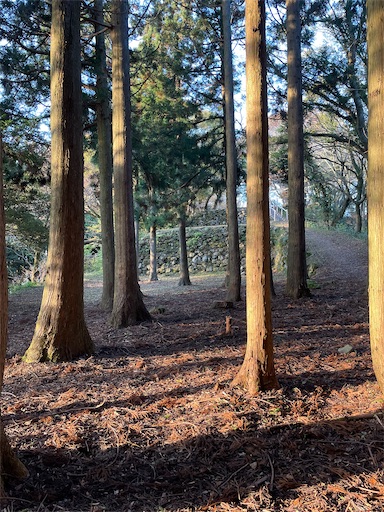 f:id:tmtmz:20211121231652j:image