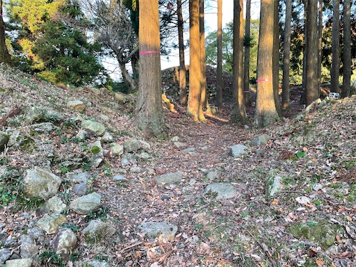 f:id:tmtmz:20211121231654j:image