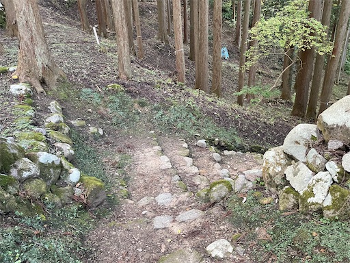 f:id:tmtmz:20211121231657j:image