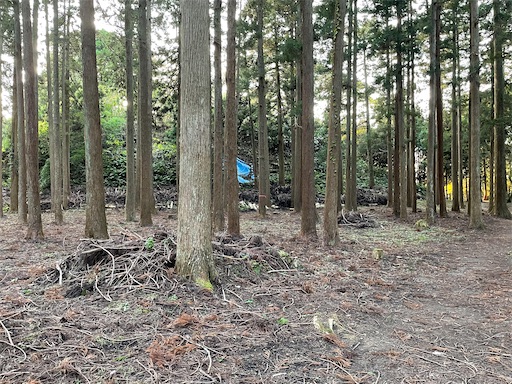 f:id:tmtmz:20211121231707j:image