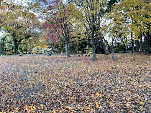 f:id:tmtmz:20211121231723j:image