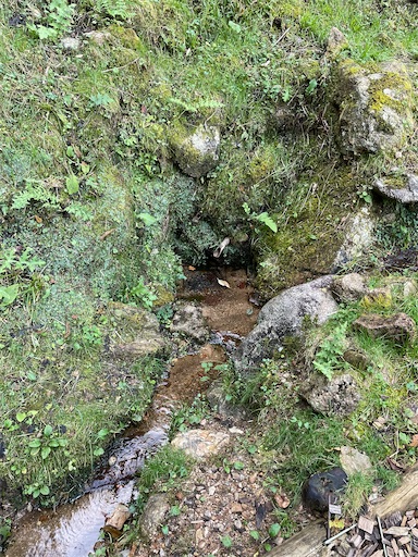 f:id:tmtmz:20211121231735j:image