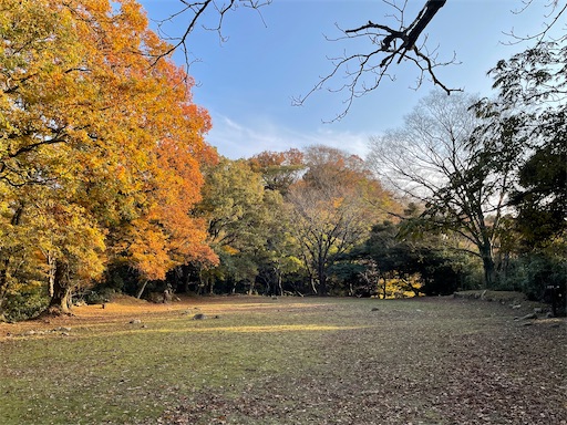 f:id:tmtmz:20211121231746j:image