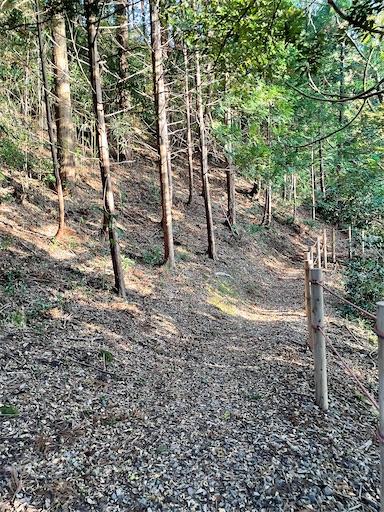 f:id:tmtmz:20211121231751j:image