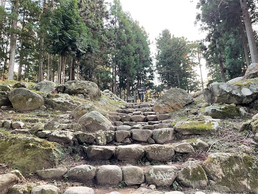 f:id:tmtmz:20211121231754j:image