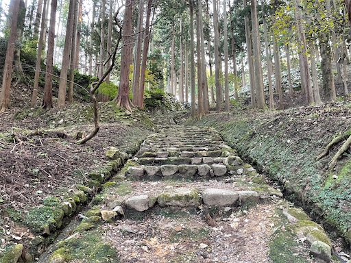 f:id:tmtmz:20211121231957j:image