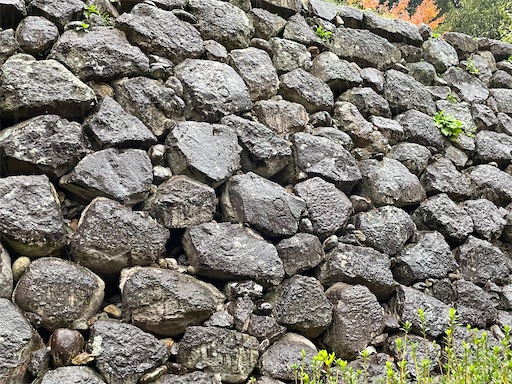 f:id:tmtmz:20211123200254j:image