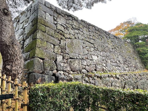 f:id:tmtmz:20211123200257j:image