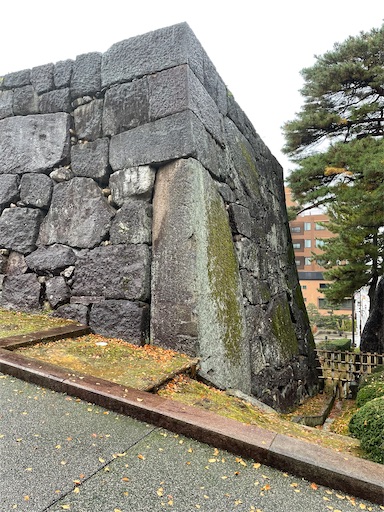 f:id:tmtmz:20211123200544j:image