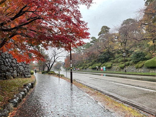 f:id:tmtmz:20211123200551j:image