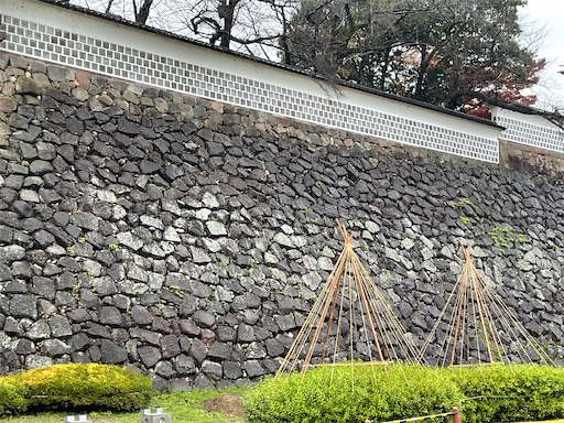 f:id:tmtmz:20211123200608j:image