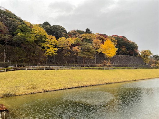 f:id:tmtmz:20211123205034j:image