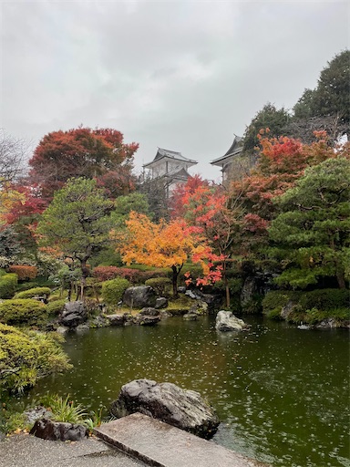 f:id:tmtmz:20211123205043j:image