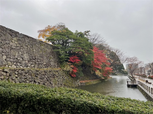 f:id:tmtmz:20211123205117j:image