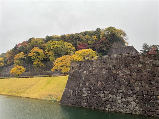 f:id:tmtmz:20211123205214j:image