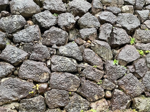 f:id:tmtmz:20211123205220j:image