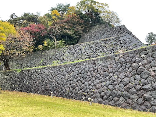 f:id:tmtmz:20211123205228j:image