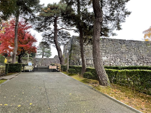 f:id:tmtmz:20211123205233j:image