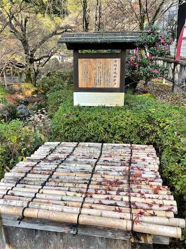 f:id:tmtmz:20211218120750j:image f:id:tmtmz:20211218120750j:image