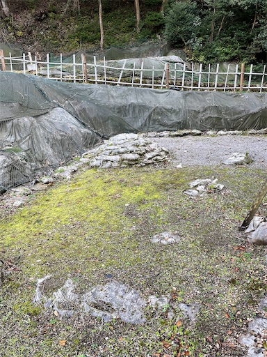 f:id:tmtmz:20211218120835j:image f:id:tmtmz:20211218120835j:image