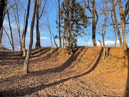 f:id:tmtmz:20220202214613j:image f:id:tmtmz:20220202214613j:image