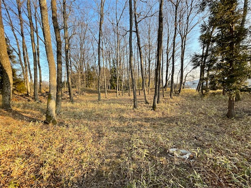 f:id:tmtmz:20220202214623j:image f:id:tmtmz:20220202214623j:image