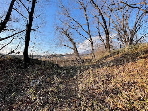 f:id:tmtmz:20220202214645j:image f:id:tmtmz:20220202214645j:image