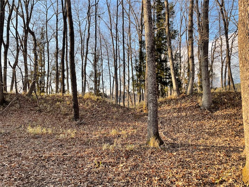 f:id:tmtmz:20220202214700j:image f:id:tmtmz:20220202214700j:image