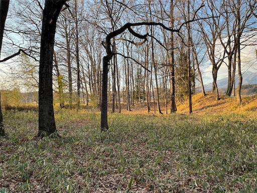 f:id:tmtmz:20220202214710j:image f:id:tmtmz:20220202214710j:image