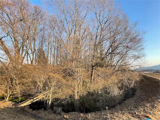 f:id:tmtmz:20220202214719j:image f:id:tmtmz:20220202214719j:image