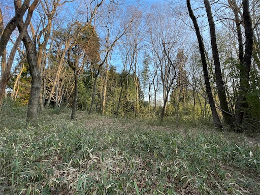 f:id:tmtmz:20220202214741j:image f:id:tmtmz:20220202214741j:image