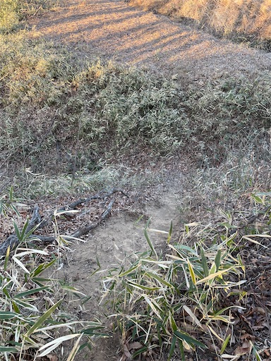 f:id:tmtmz:20220202214751j:image f:id:tmtmz:20220202214751j:image