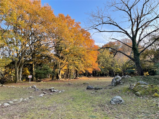 f:id:tmtmz:20220304234203j:image