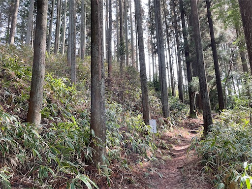 f:id:tmtmz:20220307211138j:image