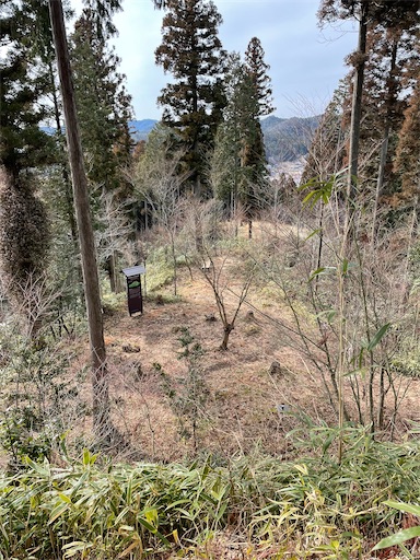 f:id:tmtmz:20220307211156j:image