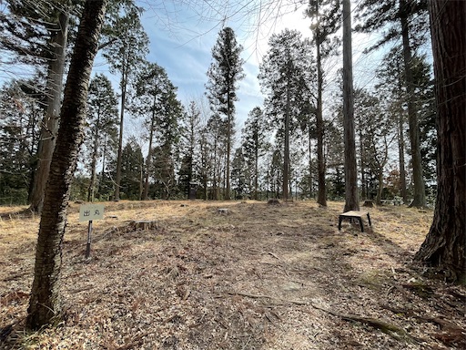 f:id:tmtmz:20220307211158j:image