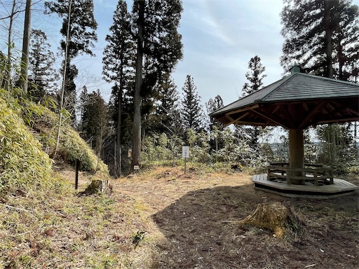 f:id:tmtmz:20220307211216j:image