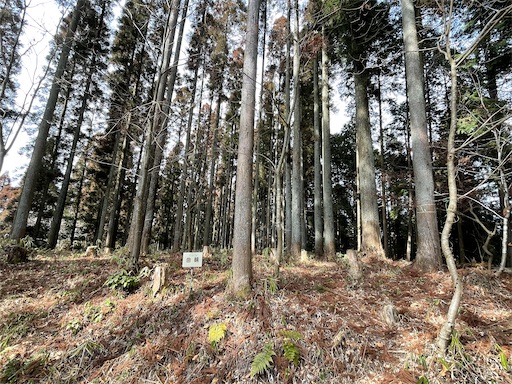 f:id:tmtmz:20220307211238j:image