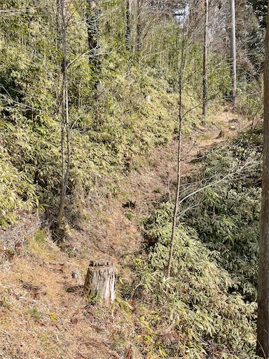 f:id:tmtmz:20220307211411j:image