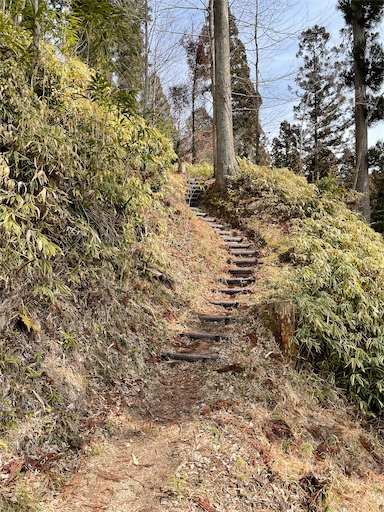 f:id:tmtmz:20220307211444j:image