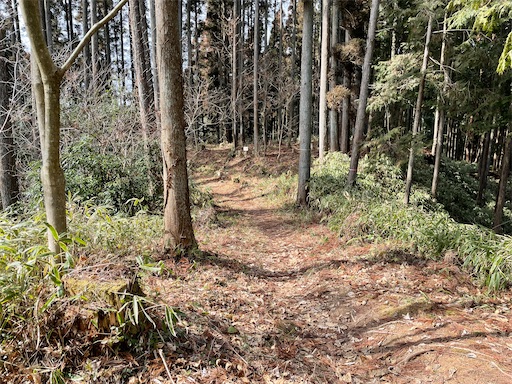 f:id:tmtmz:20220307211458j:image