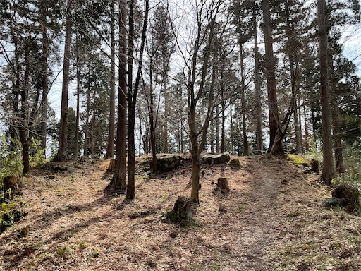 f:id:tmtmz:20220307211530j:image