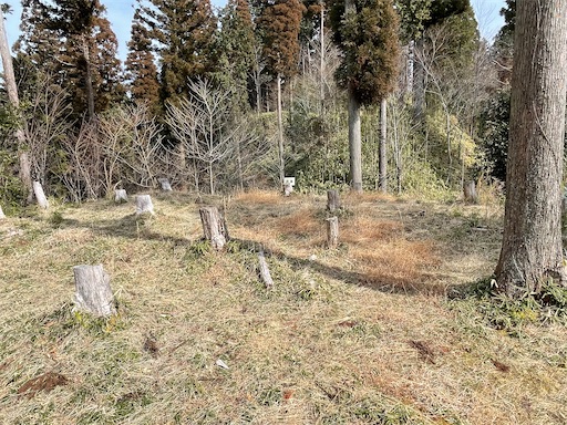 f:id:tmtmz:20220307211538j:image