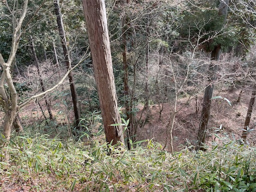 f:id:tmtmz:20220307211624j:image