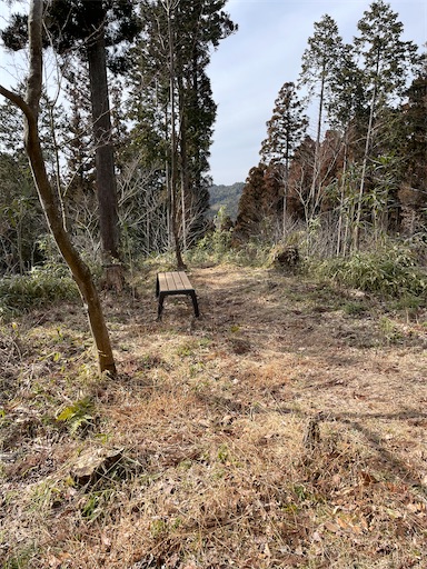 f:id:tmtmz:20220307211640j:image